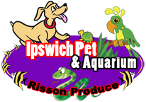 Ipswsich Pet Aquarium Logo